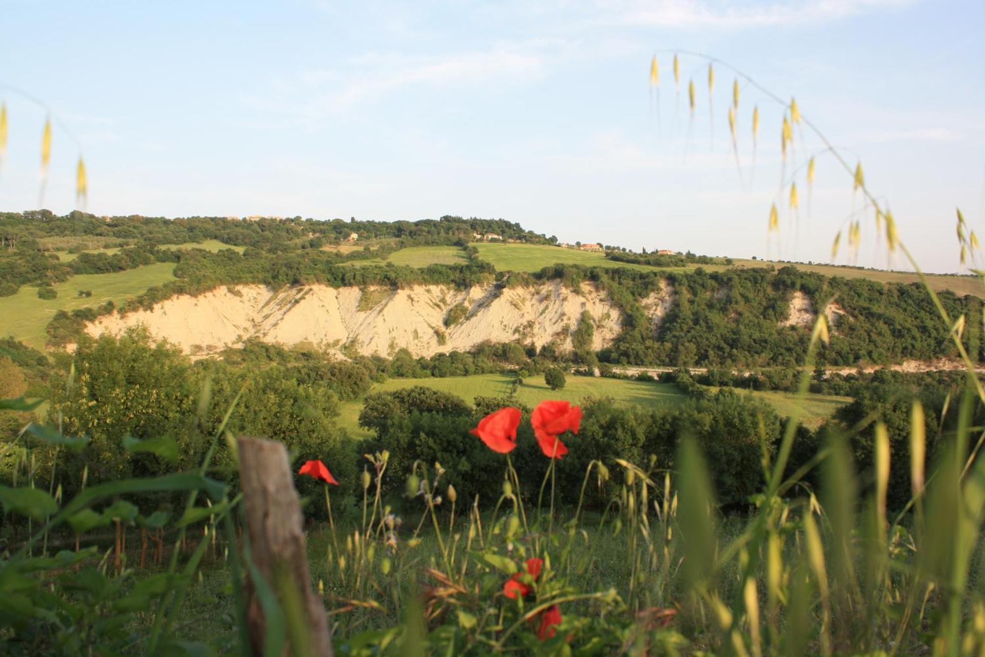 I Sicomori - Seme Di Carota - Glamping E Appartamenti Con Piscina A Saturnia Exterior photo